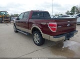 Ford F-150 Fx4/Harley-Davidson/King Ranch/Lariat/Platinum/Xl/Xlt 1FTFW1EV4AFD24893 photo