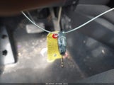 Miniaturka zdjęcia 11