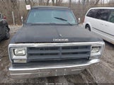 Dodge D-Series D100/D150 1B7FD14T1FS571678 снимка