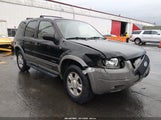Ford Escape Xlt 1FMCU03131KF77886 снимка