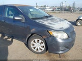Toyota Corolla Le 1NXBU40E79Z106382 снимка