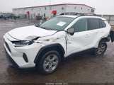 Toyota Rav4 Xle 2T3P1RFV3RC402155 снимка
