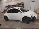 Volkswagen New Beetle 2.5L Final Edition 3VWPW3AG9AM010032 снимка