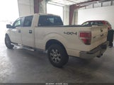 Ford F-150 Fx4/King Ranch/Lariat/Limited/Platinum/Xl/Xlt 1FTFW1ET1DKG49804 снимка