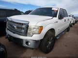 Ford F-150 Fx4/King Ranch/Lariat/Limited/Platinum/Xl/Xlt 1FTFW1ET1DKG49804 photo