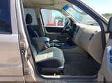Ford Escape Xlt/Xlt Sport 1FMYU031X7KA04997 fotografie