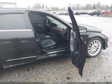 Miniaturka zdjęcia 5