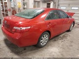 Toyota Camry Xle 4T4BE46K89R092170 снимка