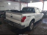 Ford F-150 Fx4/Harley-Davidson/King Ranch/Lariat/Platinum/Xl/Xlt 1FTFW1EV8AFA68418 fotografie