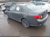 Toyota Corolla Le 1NXBU4EE3AZ308276 снимка