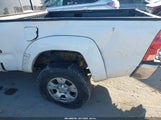 Toyota Tacoma Base V6 3TMMU52N18M006913 fotografie