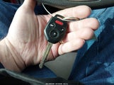Miniaturka zdjęcia 11