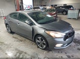 Kia Forte Ex KNAFX4A82G5480117 fotografie