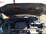 Hyundai Palisade Sel KM8R24HEXLU133463 снимка