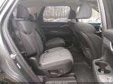 Hyundai Palisade Sel KM8R3DHE5MU253556 photo