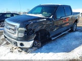 Ford F-150 Xlt 1FTFW1ET4EKD38031 photo