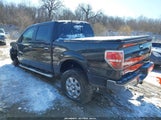 Ford F-150 Xlt 1FTFW1ET4EKD38031 photo