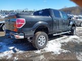 Ford F-150 Xlt 1FTFW1ET4EKD38031 photo