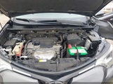 Toyota Rav4 Xle JTMRFREV2JJ724623 снимка