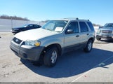 Ford Escape Xls/Xls Manual 1FMYU02Z86KA22811 photo