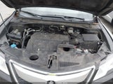 Acura Rdx 5J8TB3H52DL013072 снимка