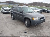Ford Escape Xlt 1FMCU03194KA98540 снимка