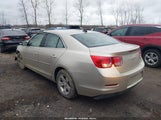 Chevrolet Malibu 1Ls 1G11B5SL5EF127469 снимка