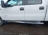 Ford F-150 Xlt 1FTFW1ET4EFB33740 снимка