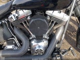 Harley-Davidson Flstfb 1HD1JN512AB032842 fotografie