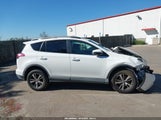 Toyota Rav4 Xle 2T3WFREV1JW483951 fotografie