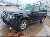 Ford Escape Xlt 1FMCU03Z48KB49289 снимка