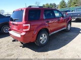Ford Escape Xlt 1FMCU93G59KB03734 снимка
