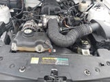 Ford Mustang V6 Deluxe/V6 Premium 1ZVHT80N585134955 fotografie
