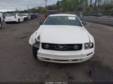 Ford Mustang V6 Deluxe/V6 Premium 1ZVHT80N585134955 снимка
