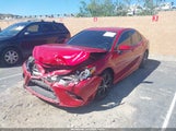 Toyota Camry Se 4T1M11AK7LU309834 photo
