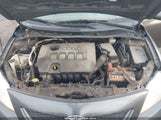 Toyota Corolla Le 2T1BU4EE2AC292654 снимка