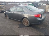 Toyota Corolla Le 2T1BU4EE2AC292654 fotografie