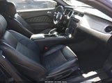 Ford Mustang V6/V6 Premium 1ZVBP8AM7D5276489 photo