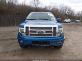Ford F-150 Fx4/King Ranch/Lariat/Platinum/Xl/Xlt 1FTFW1EF8DFB05139 снимка