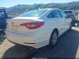 Hyundai Sonata 5NPE24AF9HH592670 снимка