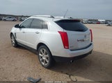 Cadillac Srx Performance Collection 3GYFNCE33GS515555 fotografie