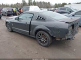 Ford Mustang V6 Deluxe/V6 Premium 1ZVHT80N485110095 fotografie