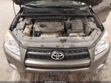 Toyota Rav4 2T3BF4DV6BW104656 photo