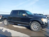 Ford F-150 Fx2 Sport/Harley-Davidson/King Ranch/Lariat/Platinum/Xl/Xlt 1FTFW1CV8AFB60325 снимка