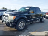 Ford F-150 Fx2 Sport/Harley-Davidson/King Ranch/Lariat/Platinum/Xl/Xlt 1FTFW1CV8AFB60325 photo