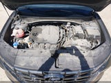 Hyundai Tucson Limited 5NMJE3AE3PH206473 photo