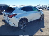 Lexus Nx 350H Luxury JTJHKCEZXN5004117 снимка