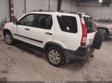 Miniaturka zdjęcia 3