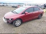 Honda Civic Lx 19XFA1F57AE074752 снимка