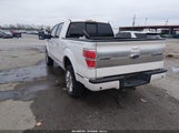 Ford F-150 Platinum 1FTFW1E61CFA48071 снимка